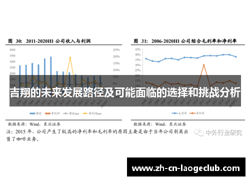 吉翔的未来发展路径及可能面临的选择和挑战分析