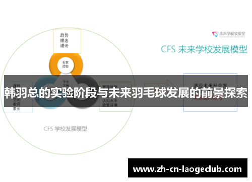 韩羽总的实验阶段与未来羽毛球发展的前景探索