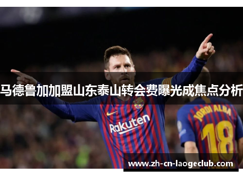 马德鲁加加盟山东泰山转会费曝光成焦点分析