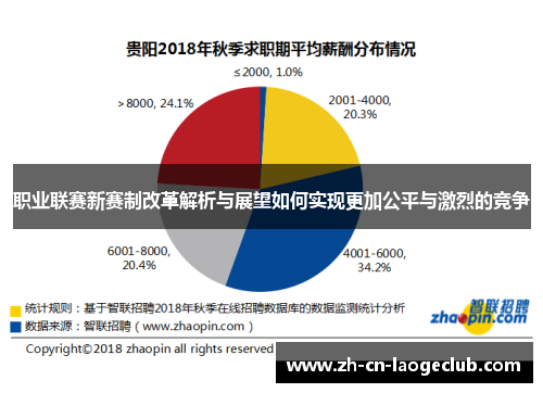 职业联赛新赛制改革解析与展望如何实现更加公平与激烈的竞争