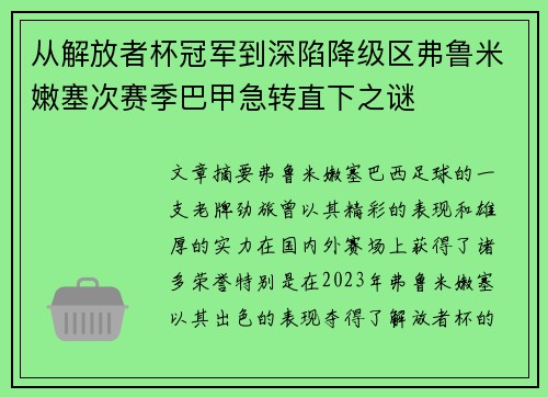 从解放者杯冠军到深陷降级区弗鲁米嫩塞次赛季巴甲急转直下之谜